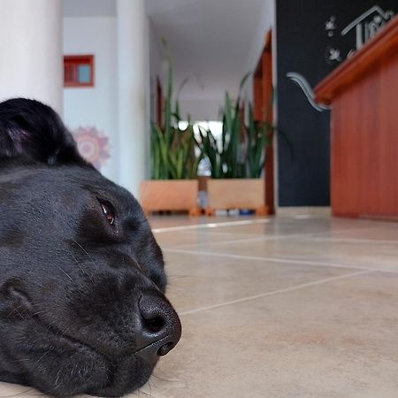 Hola! Veci Hotel Villa de Leyva Kültér fotó